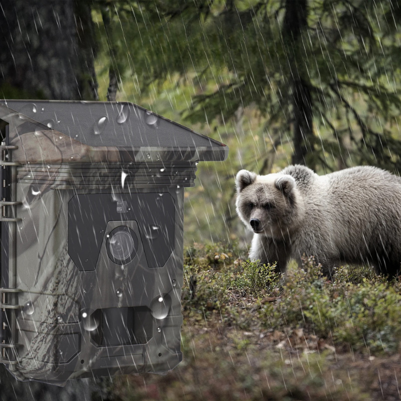 Trail camera in the forest with a bear nearby