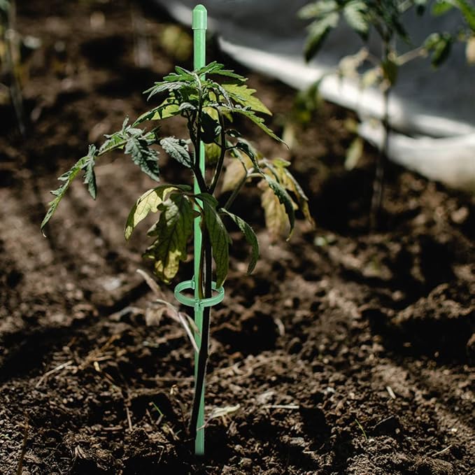 StellaStem | Solid støtte for planter som vokser seg sterke og ranke | ribuella