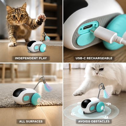 Self-Activated USB-C Rechargeable Motorized Cat Chase Toy | ribuella