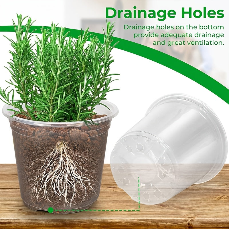 ROOTVIEW GARDEN SET – Clear Pots for Effortless Root Observation | ribuella