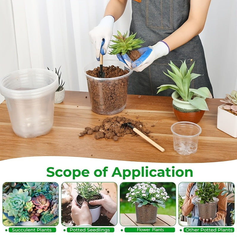 ROOTVIEW GARDEN SET – Clear Pots for Effortless Root Observation | ribuella