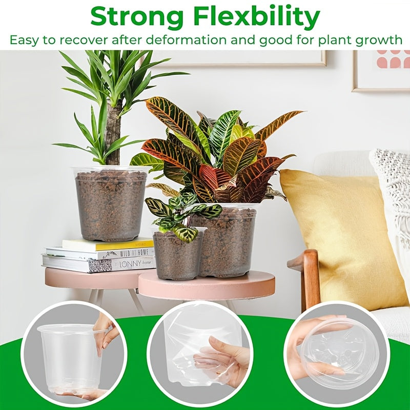 ROOTVIEW GARDEN SET – Clear Pots for Effortless Root Observation | ribuella