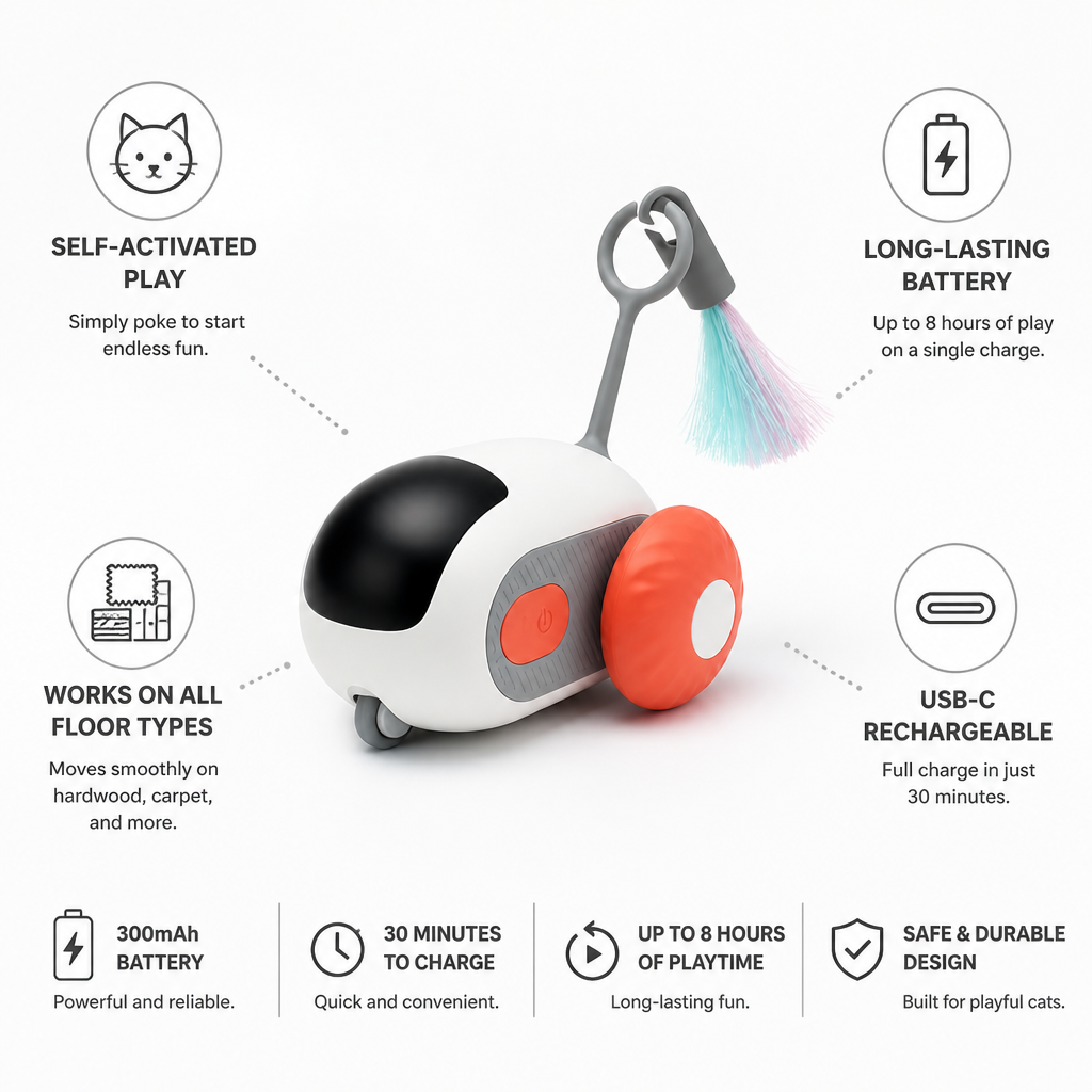 Self-Activated USB-C Rechargeable Motorized Cat Chase Toy | ribuella