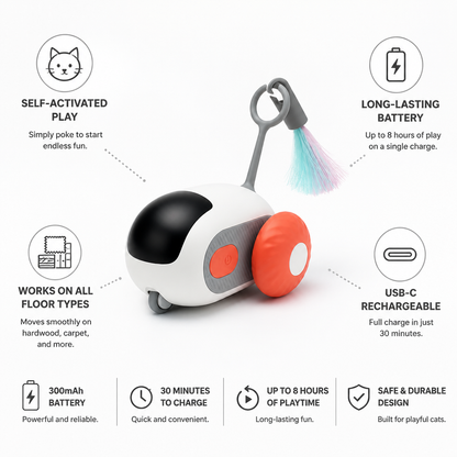 Self-Activated USB-C Rechargeable Motorized Cat Chase Toy | ribuella