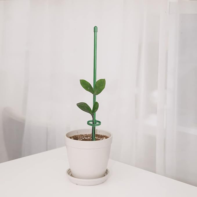 StellaStem | Solid støtte for planter som vokser seg sterke og ranke | ribuella