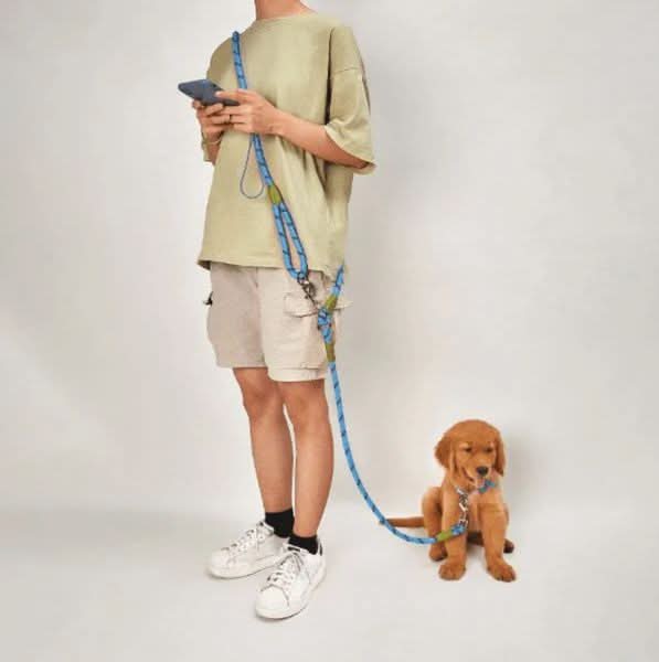 Ultimate Hands-Free Dog Leash for Active Lifestyles | ribuella