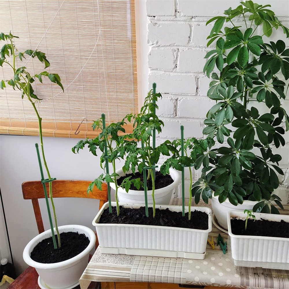 StellaStem | Solid støtte for planter som vokser seg sterke og ranke | ribuella