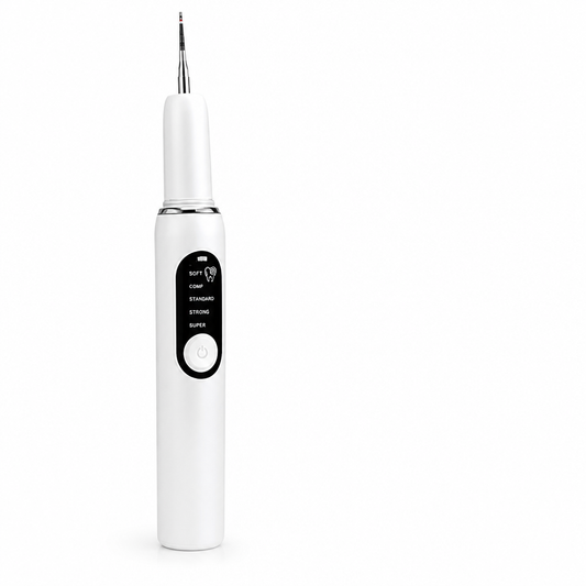 USB-C Rechargeable Dental Plaque Cleaner (2 Replaceable Heads) | ribuella