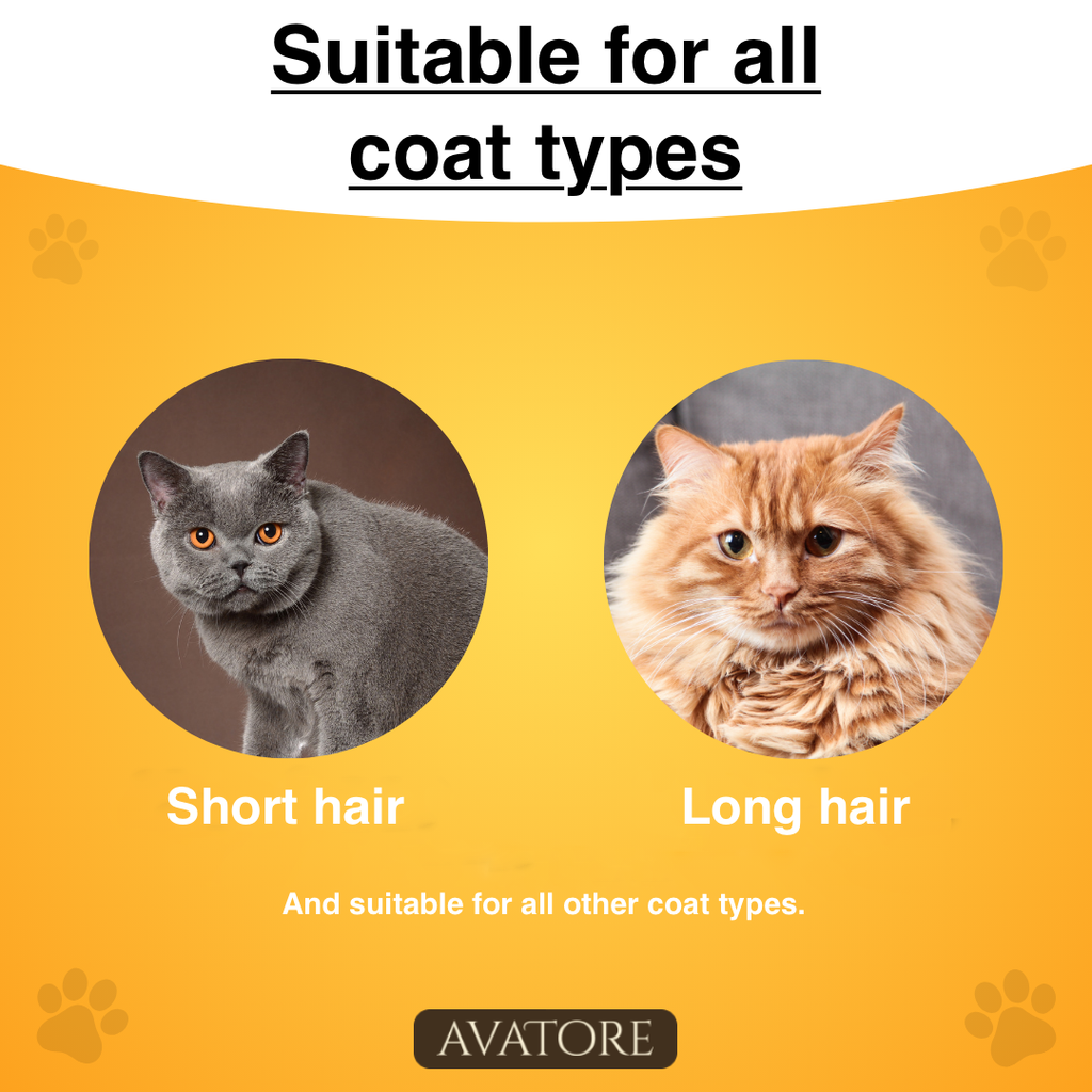 SereniPaw | حوّل العناية إلى أكثر لحظات قطتك المحببة من الهدوء والتواصل | ribuella