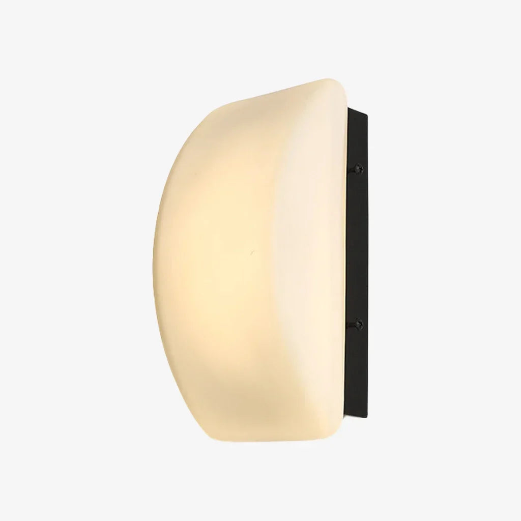 French Glass Wall Sconce - Curved Iron Frame, Black Metal Backplate, E27 Socket