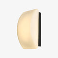 French Glass Wall Sconce - Curved Iron Frame, Black Metal Backplate, E27 Socket