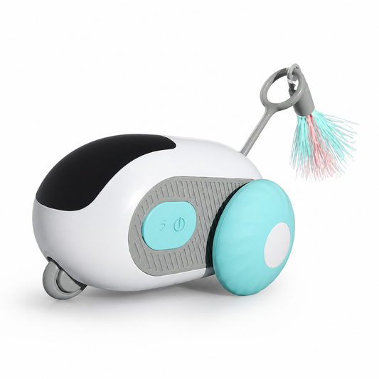 Self-Activated USB-C Rechargeable Motorized Cat Chase Toy | ribuella