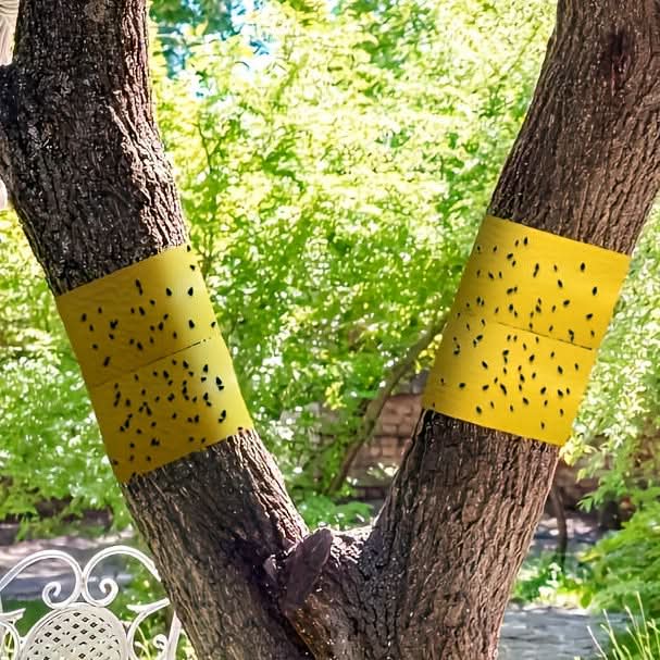 Klebendes Insektenfangband für den Außenbereich | ribuella