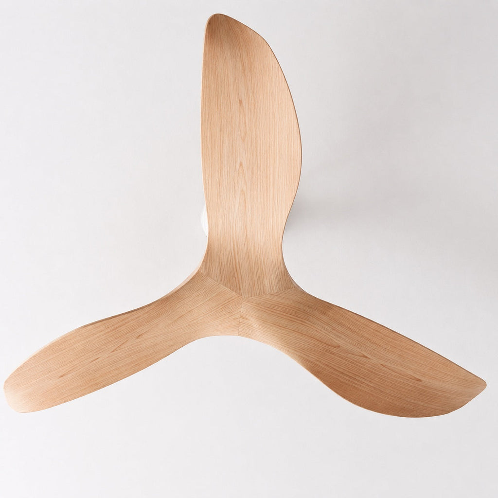 Flush Mount Ceiling Fan with Remote Control, 6-Speed DC Motor & Reversible Blades | ribuella