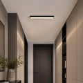 Modern Minimalist Ceiling Light Flush Mount LED Dimmable Aluminum Indoor Lighting | ribuella