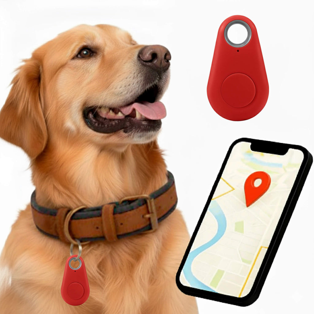 Real Time Location Updates For Dog Gps Tracker With No Monthly Fees
