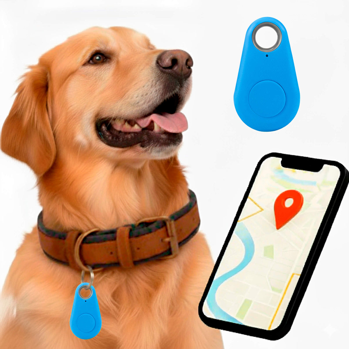 Real Time Location Updates For Dog Gps Tracker With No Monthly Fees