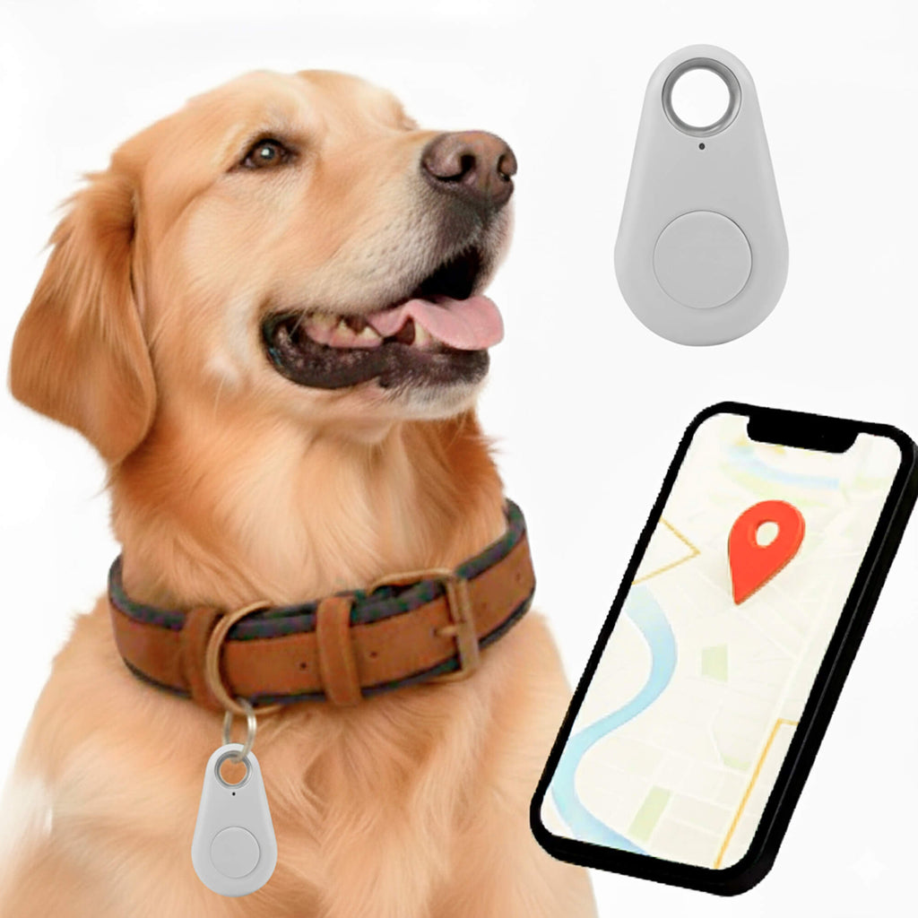 Real Time Location Updates For Dog Gps Tracker With No Monthly Fees