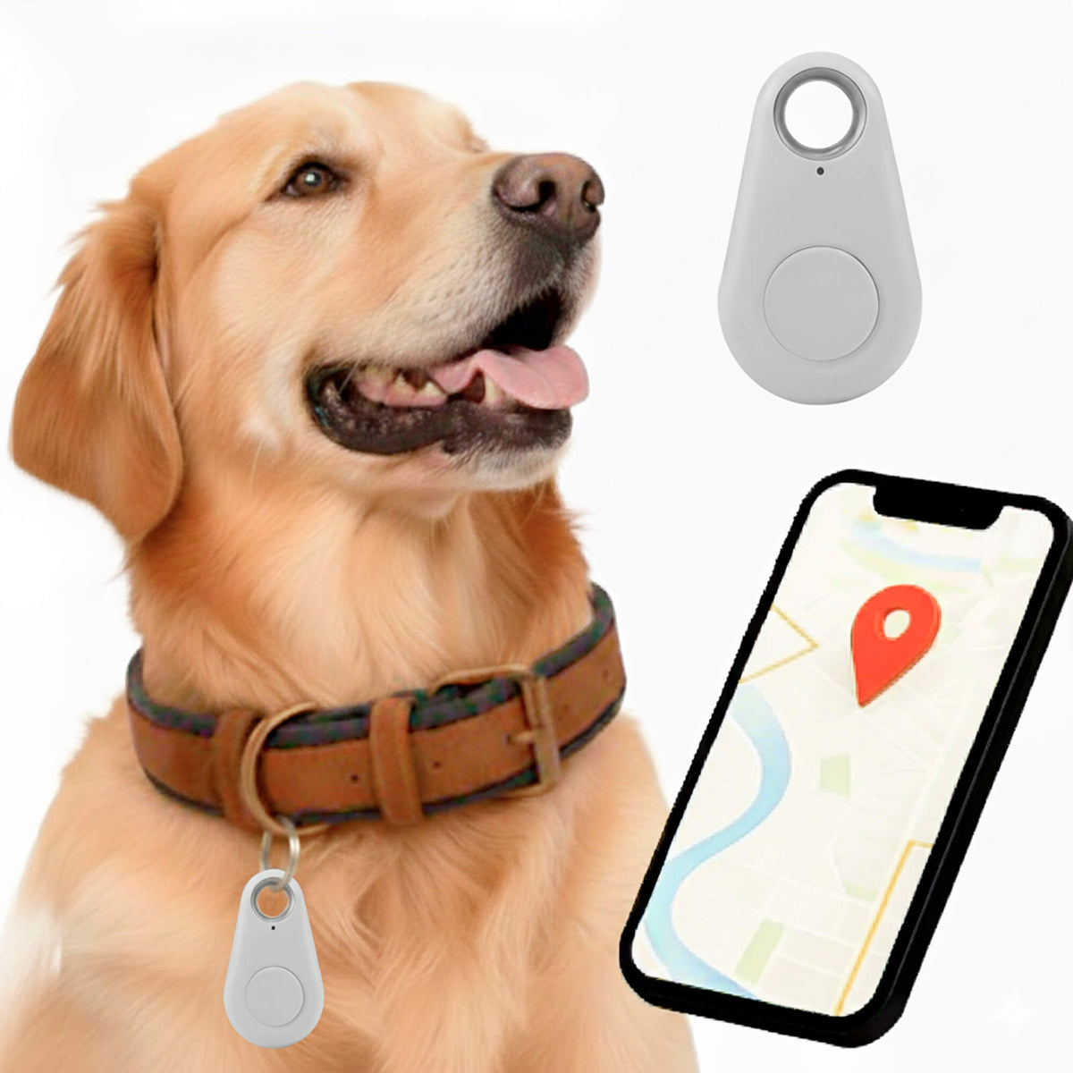 Real Time Location Updates For Dog Gps Tracker With No Monthly Fees