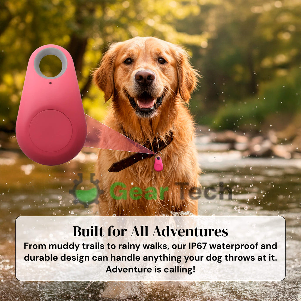 Real Time Location Updates For Dog Gps Tracker With No Monthly Fees