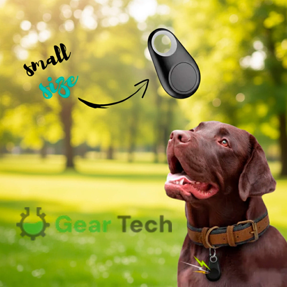 Real Time Location Updates For Dog Gps Tracker With No Monthly Fees