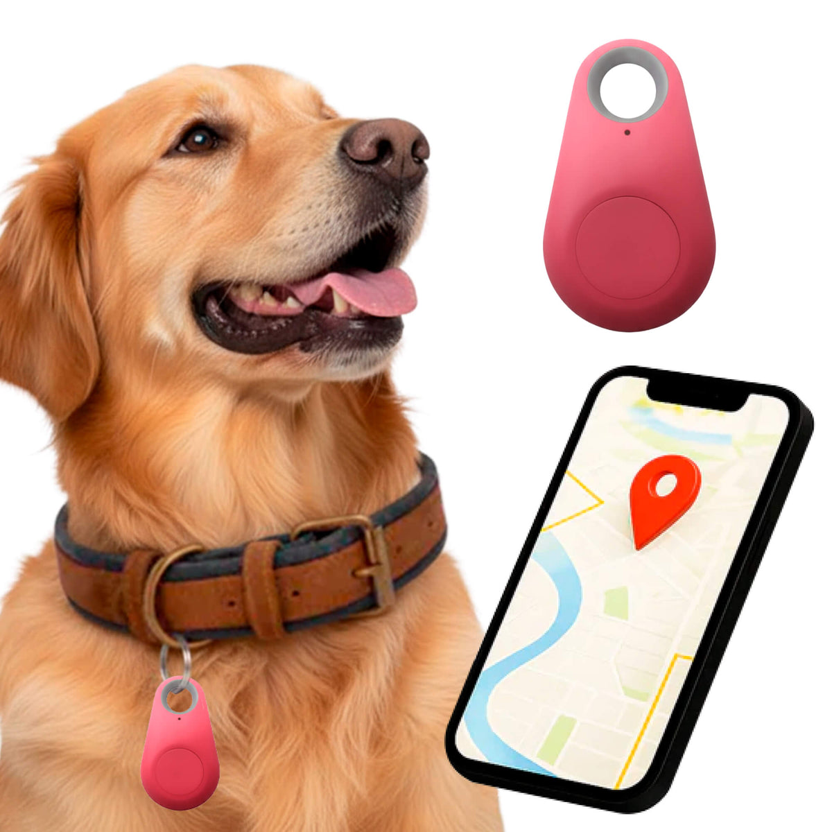 Real Time Location Updates For Dog Gps Tracker With No Monthly Fees