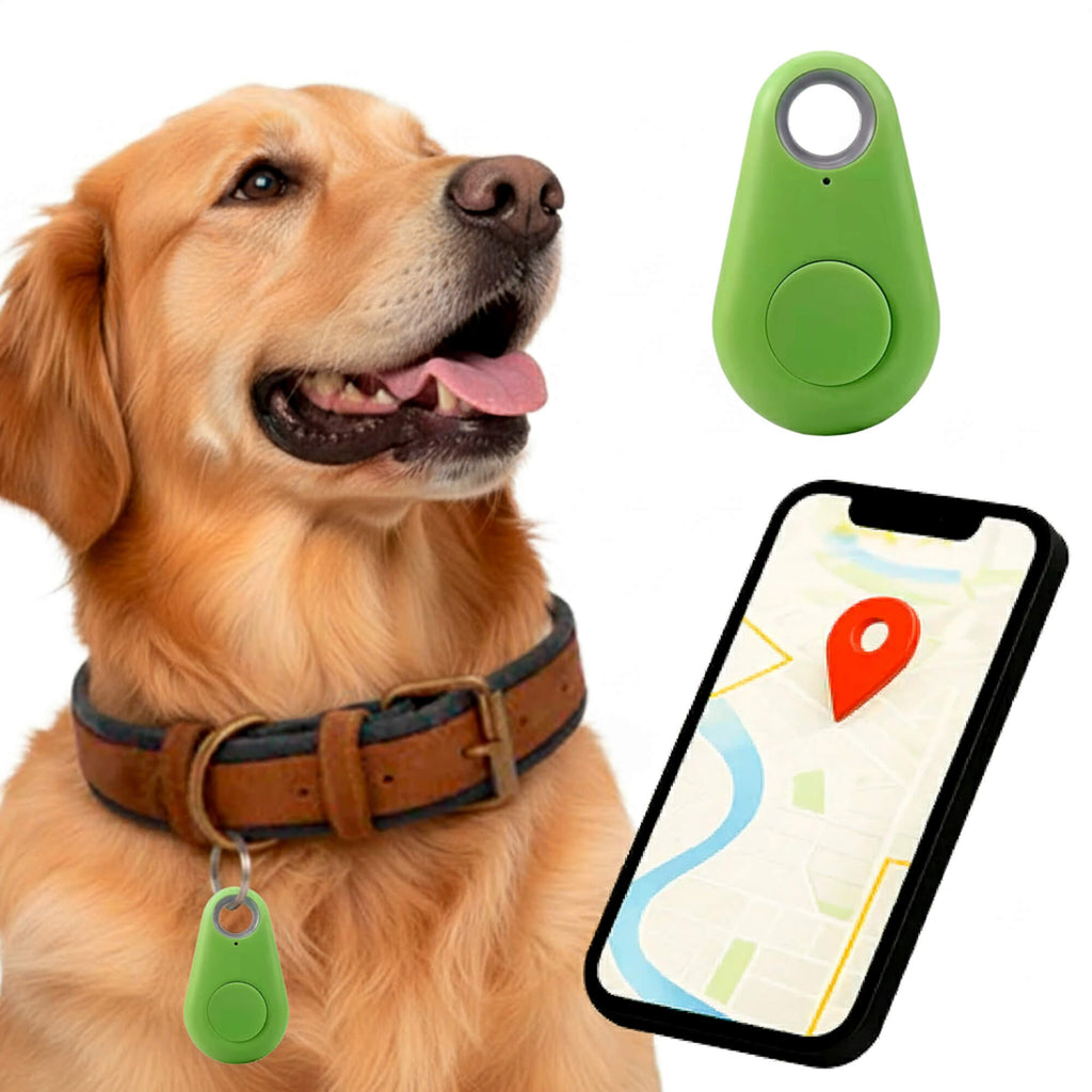 Real Time Location Updates For Dog Gps Tracker With No Monthly Fees