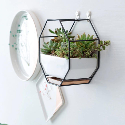 Stylish Indoor Wall Planter with Modern Frame and Tray | ribuella