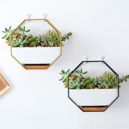 Stylish Indoor Wall Planter with Modern Frame and Tray | ribuella
