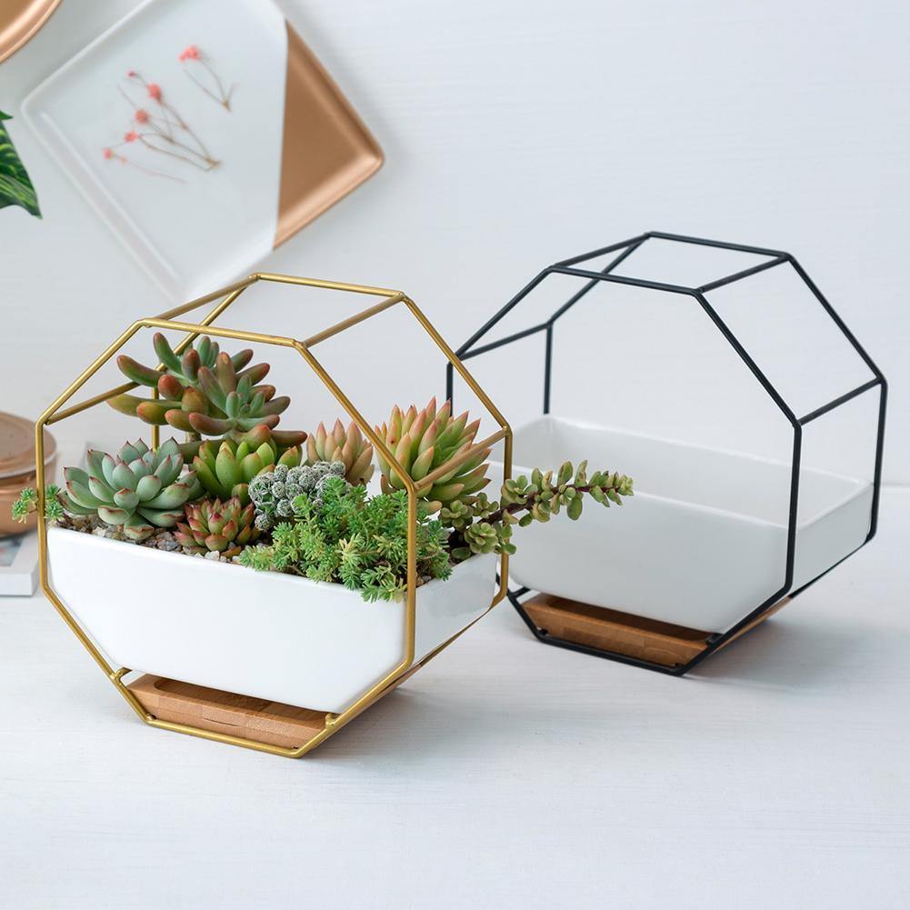 Stylish Indoor Wall Planter with Modern Frame and Tray | ribuella
