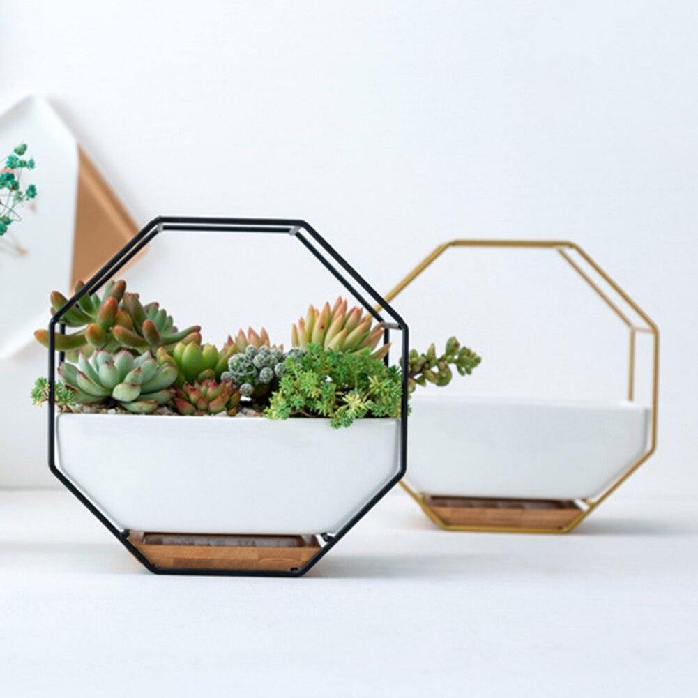 Stylish Indoor Wall Planter with Modern Frame and Tray | ribuella
