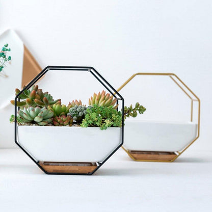 Stylish Indoor Wall Planter with Modern Frame and Tray | ribuella