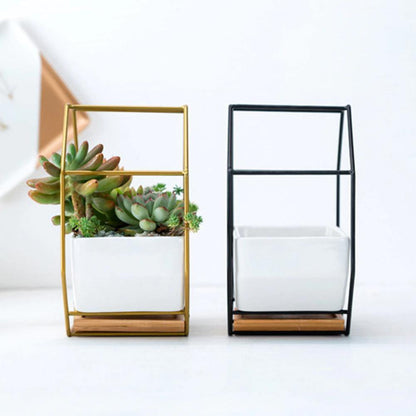 Stylish Indoor Wall Planter with Modern Frame and Tray | ribuella