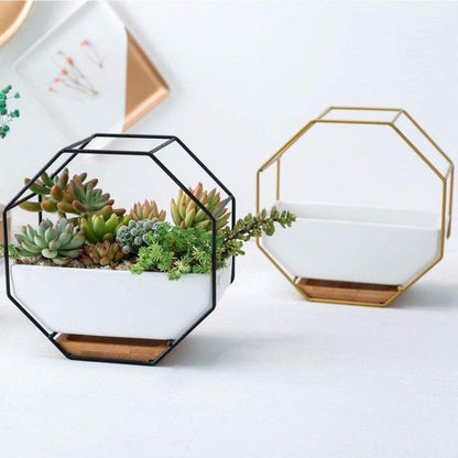 Stylish Indoor Wall Planter with Modern Frame and Tray | ribuella
