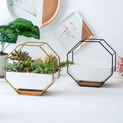 Stylish Indoor Wall Planter with Modern Frame and Tray | ribuella