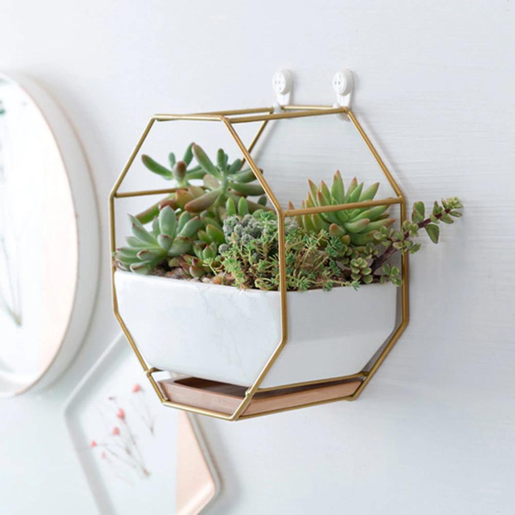 Stylish Indoor Wall Planter with Modern Frame and Tray | ribuella