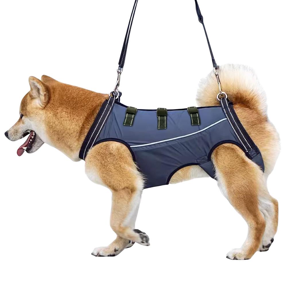 LiftHound Adjustable Dog Rehabilitation And Recovery Harness