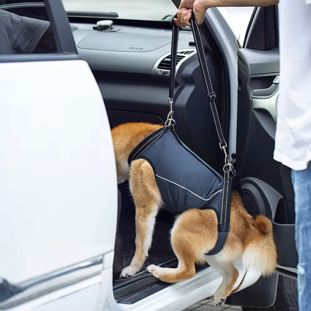 LiftHound Adjustable Dog Rehabilitation And Recovery Harness