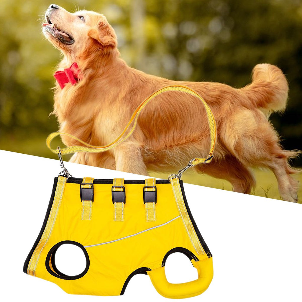حزام LiftHound قابل للتعديل لإعادة تأهيل الكلاب وتعافيها