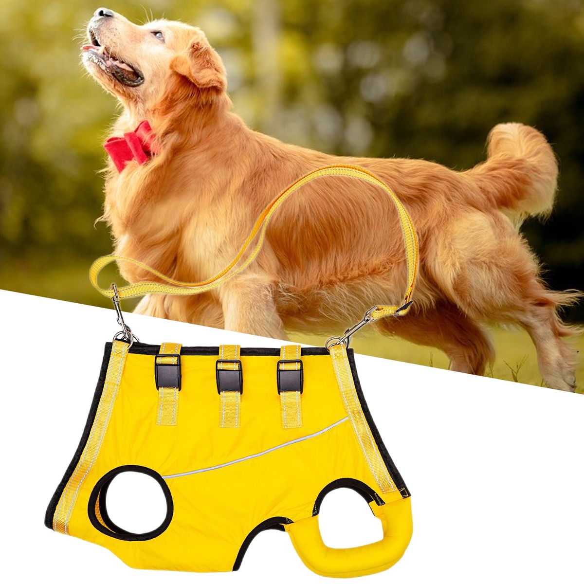 LiftHound Adjustable Dog Rehabilitation And Recovery Harness