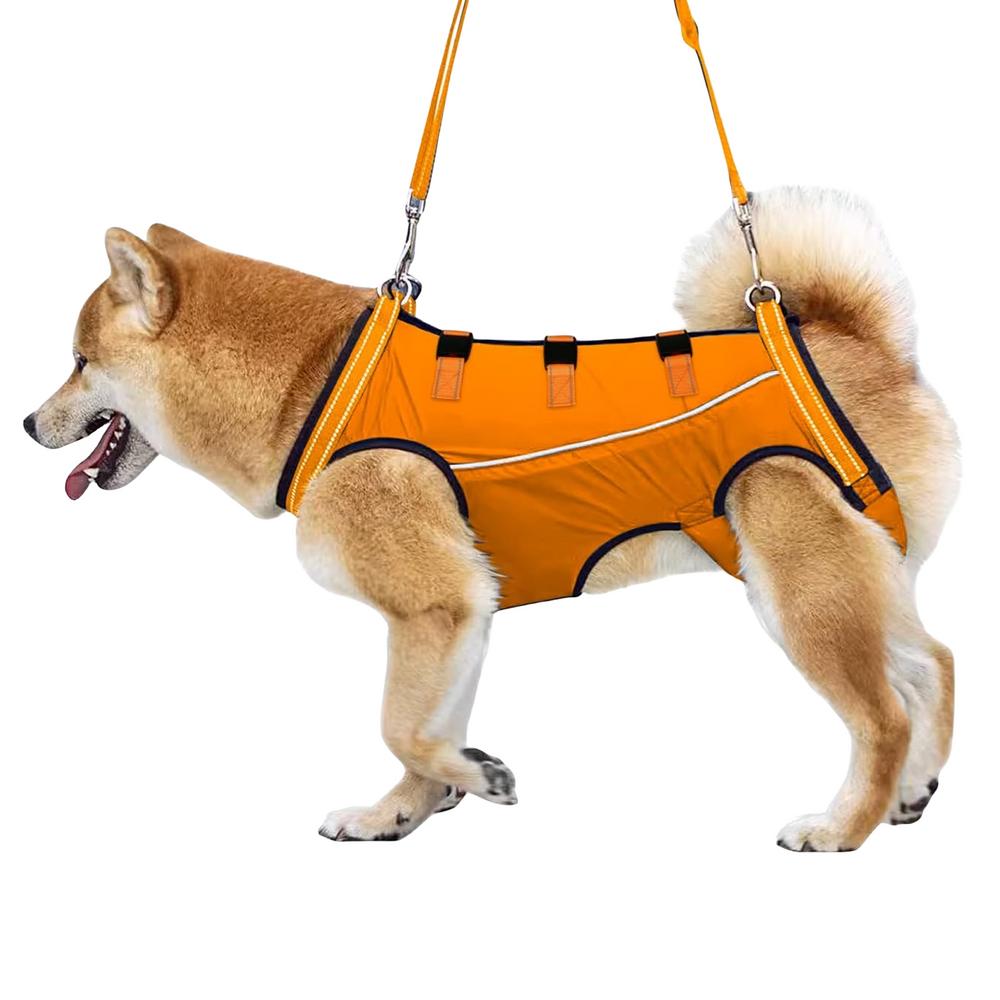 LiftHound Adjustable Dog Rehabilitation And Recovery Harness