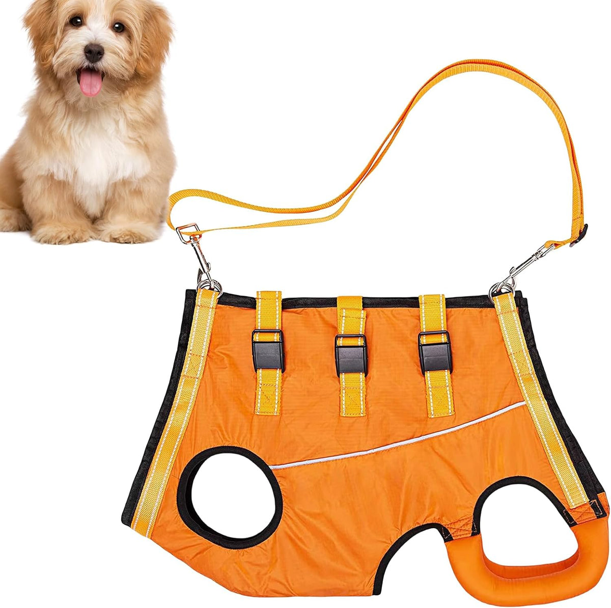 حزام LiftHound قابل للتعديل لإعادة تأهيل الكلاب وتعافيها