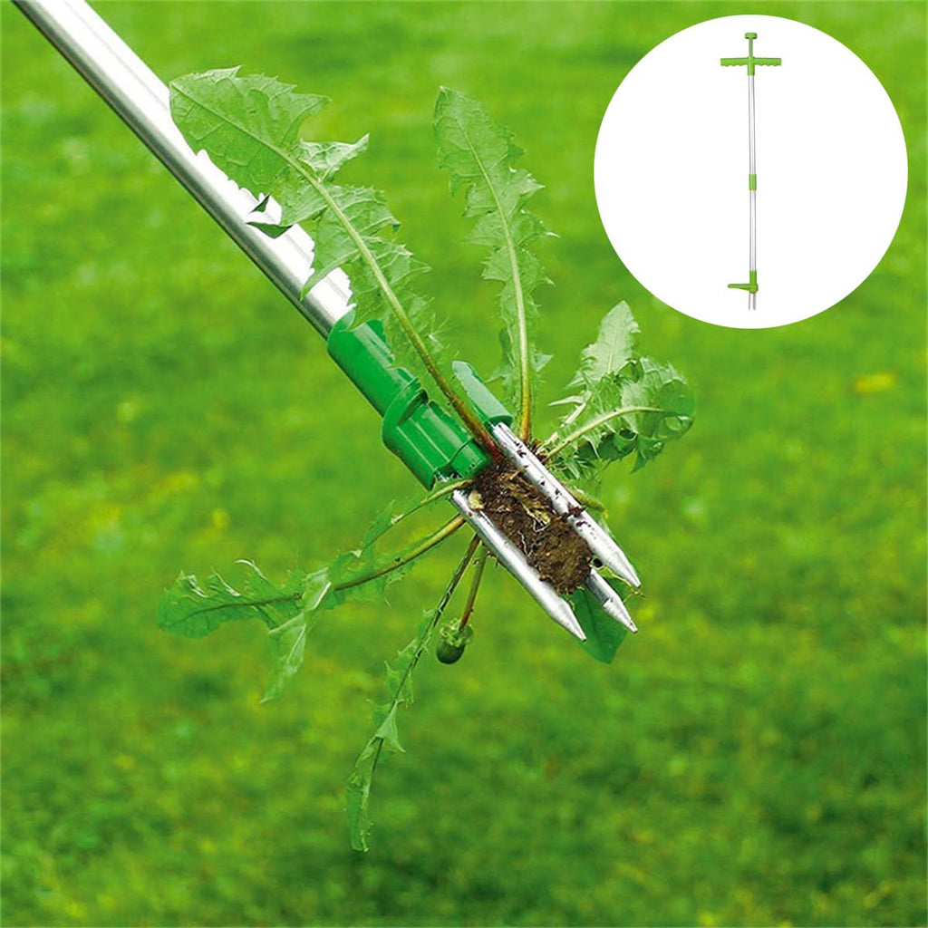 Unkrautstecher mit Stiel für mühelose und saubere Gartenpflege | ribuella