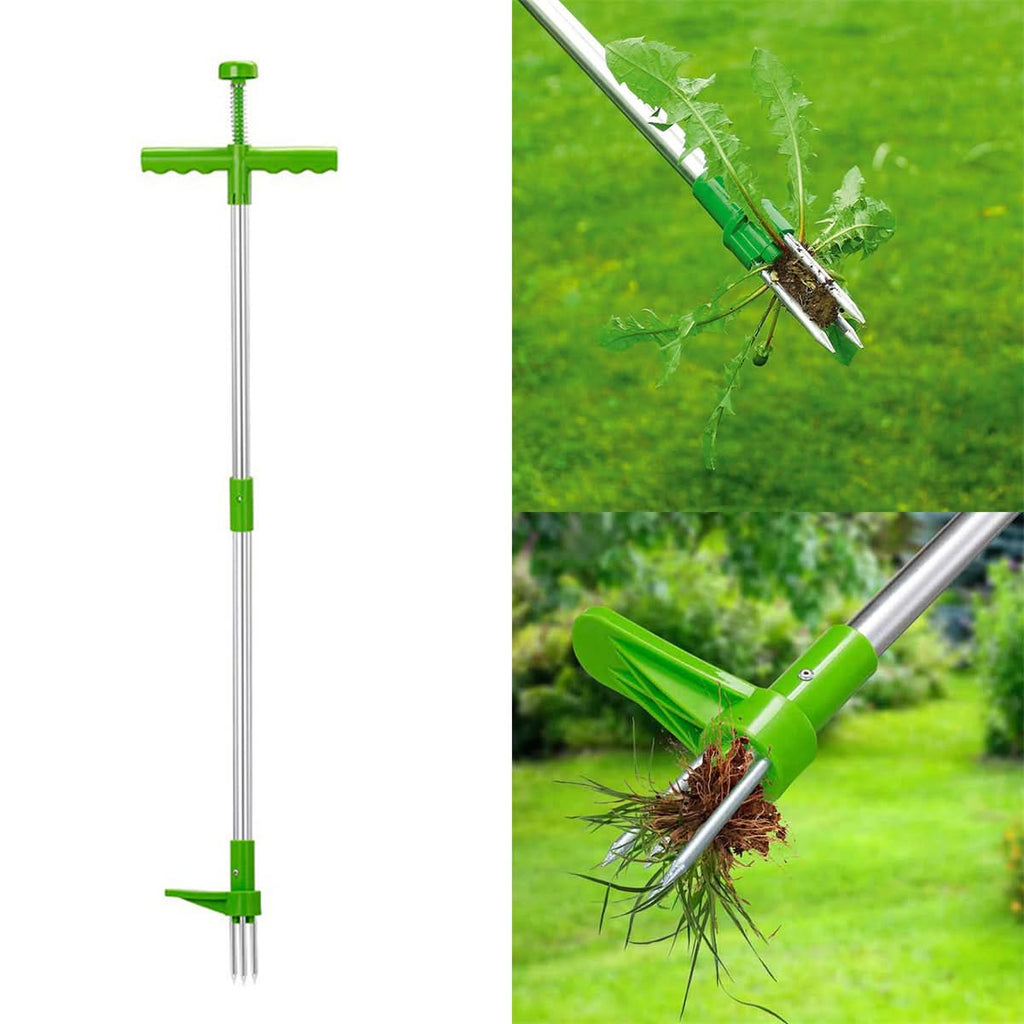 Unkrautstecher mit Stiel für mühelose und saubere Gartenpflege | ribuella