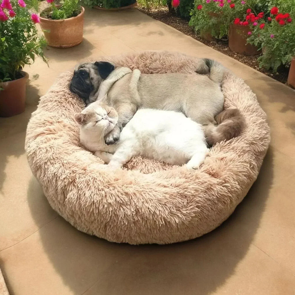 Cuccia rilassante per cani con morbida imbottitura e bordi rialzati spessi