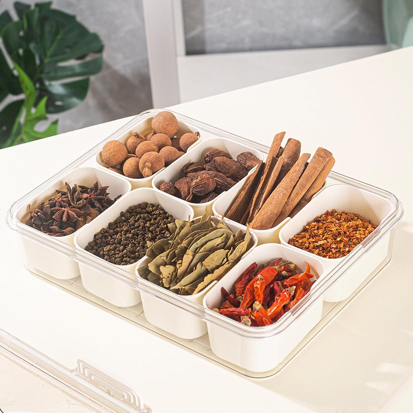 Stylish 8-Section Serving Platter with Comfortable Handles | ribuella
