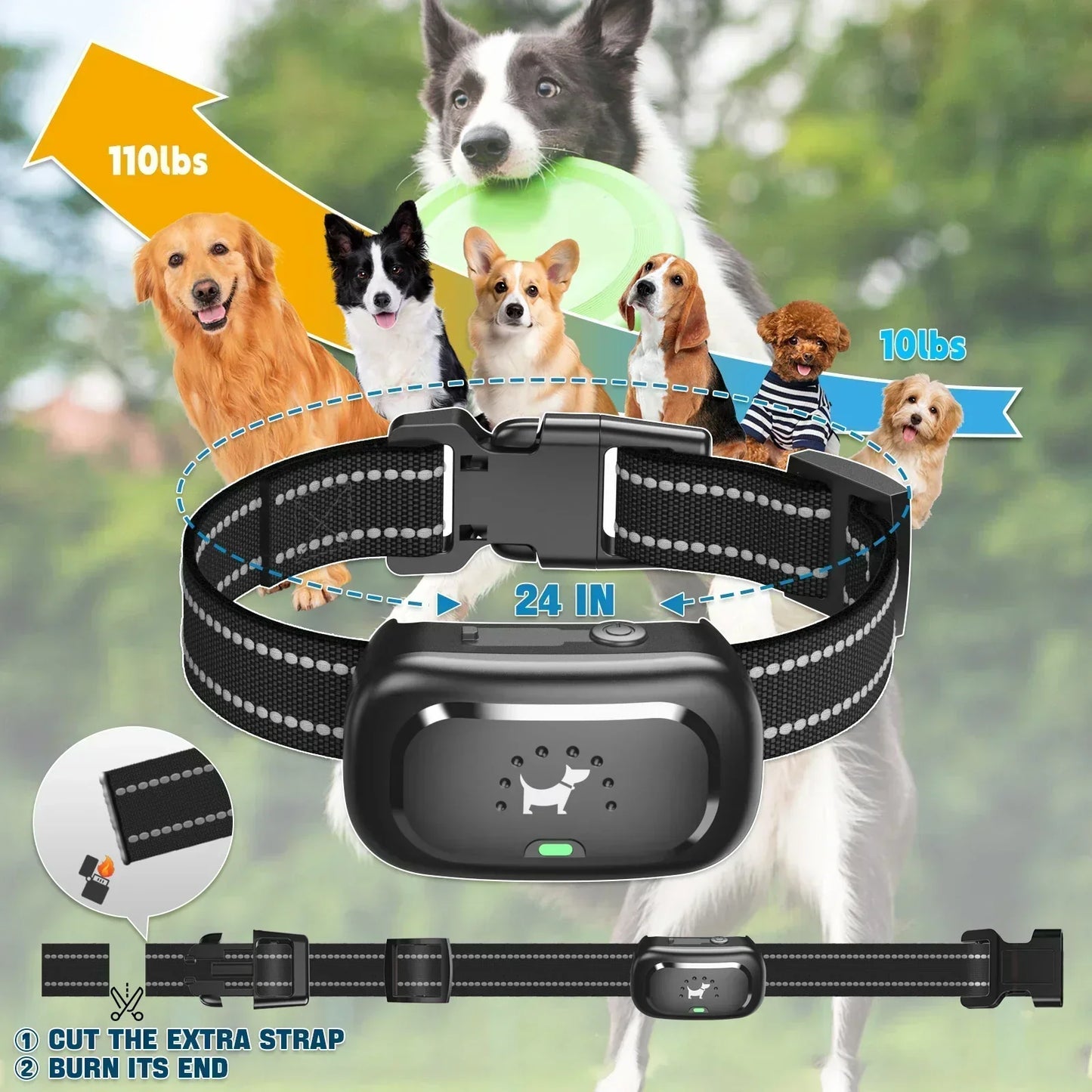 Ultimate Smart Canine Training Collar with Remote Control | ribuella