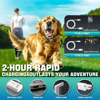 Ultimate Smart Canine Training Collar with Remote Control | ribuella