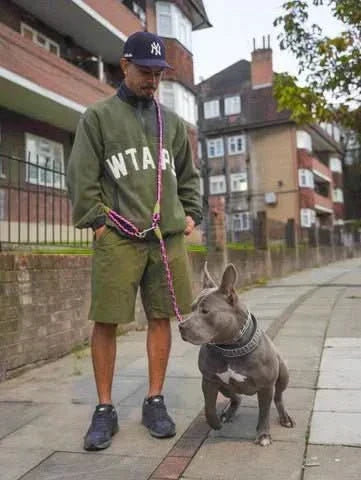 Ultimate Hands-Free Dog Leash for Active Lifestyles | ribuella