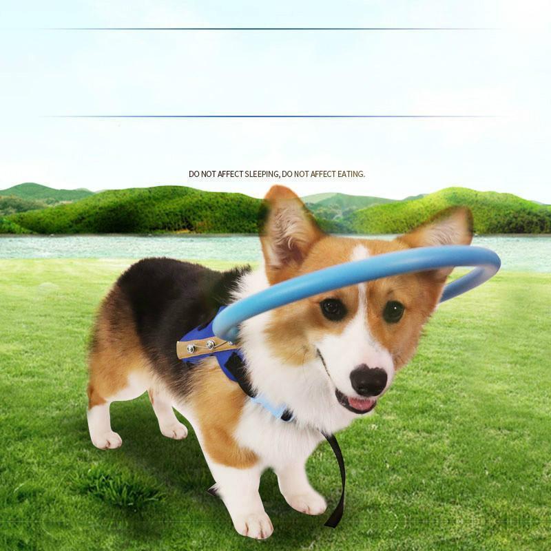 Flexible Blind Dog Bumper Collar Harness Mobility Aid Tool